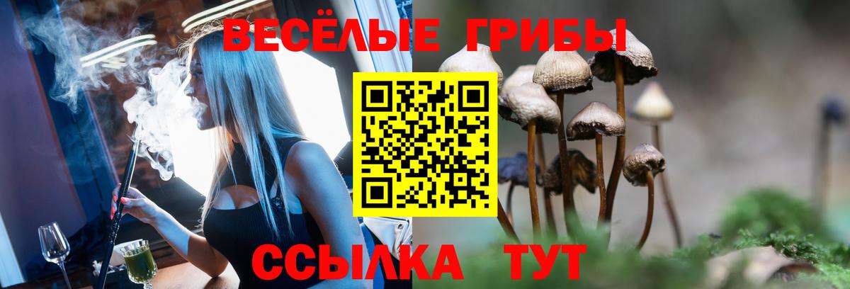 Галлюциногенные грибы Psilocybine cubensis Моршанск